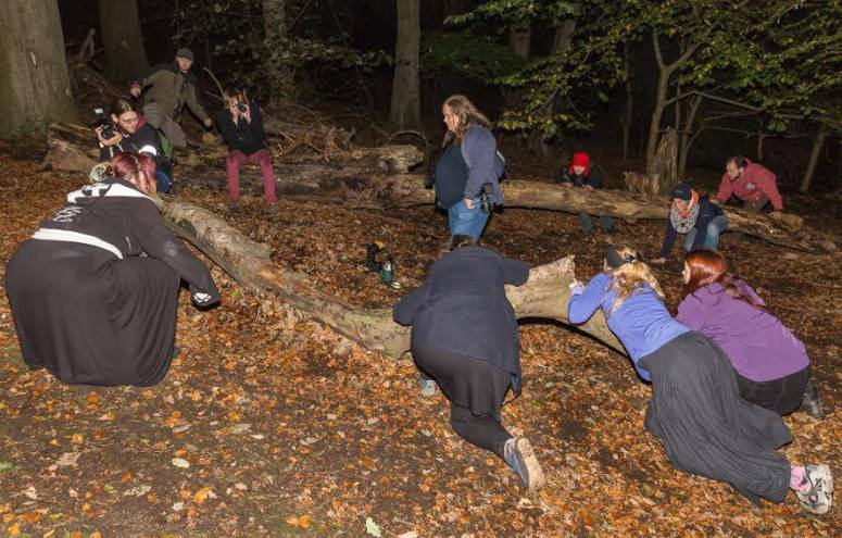 Courtesy of Neil Barton of Samhuinn 2014 Photo Point 2