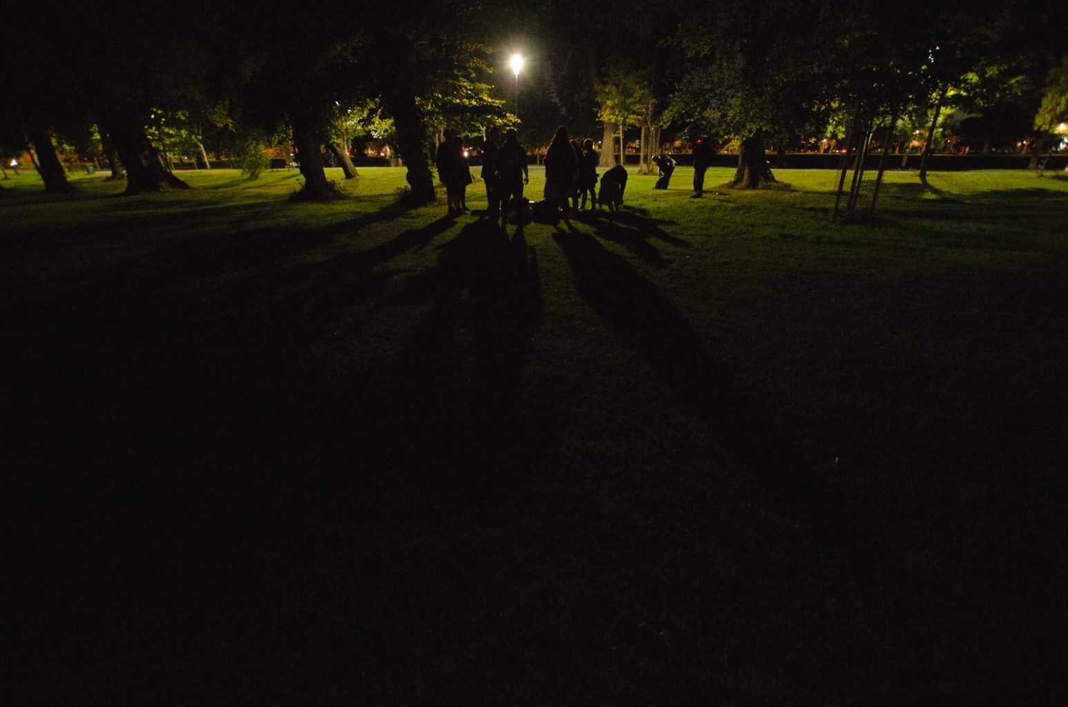 Summer's Fayte by Maria Astefanoaei